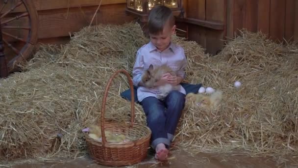 Slow Motion Little Boy Son Rabbit Ducks Sitting Hay — Stockvideo