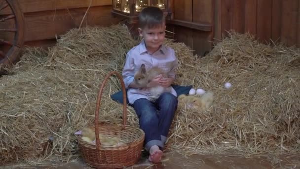 Мальчик Студии Играет Пасхальным Кроликом — стоковое видео