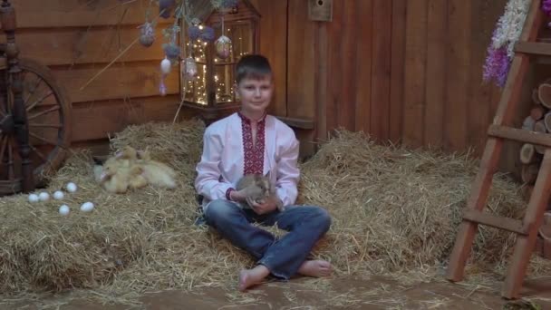 Slow Motion Little Boy Baw Się Kaczątkiem Wielkanocnym Królikiem — Wideo stockowe