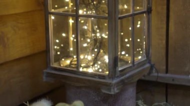 Slow Motion Girl yuvasında oturan tüylü, tatlı Paskalya ördeklerini okşar.