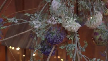 Yavaş hareket eden Paskalya yumurtaları kuru ot ve çiçeklerden oluşan bir dalda asılı duruyor.