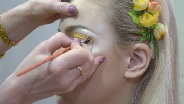 Professional Makeup Artist Works Model Face Beauty Studio — Videoclip de stoc