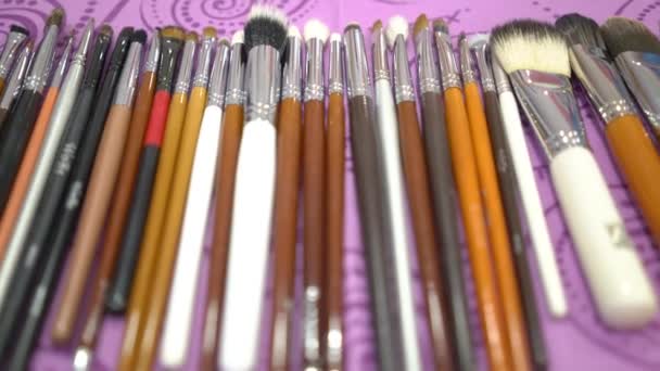 Set Cosmetic Brushes Table Makeup Artist — Vídeo de Stock