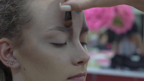 Slow Motion Professional Makeup Artist Working Beautiful Young Woman — Stok video