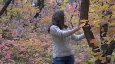 Portrait of brunette woman in autumn in the park