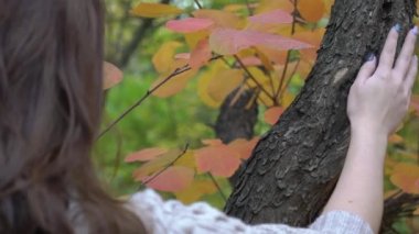 Yavaş Çekim Kadın ağacın gövdesine yaslandı. Autumn Park