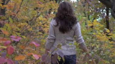 Slow Motion Walk through the autumn park. Park with yellow leaves.