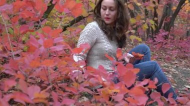 Portrait of pretty woman with maple leaves in her hand in an autumn park