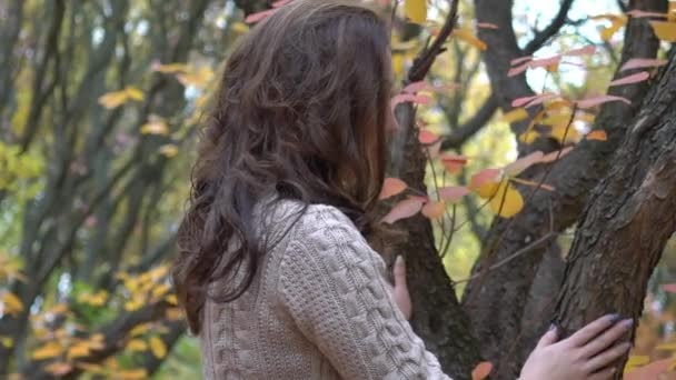 Счастливая Женщина Осенью Желтые Листья Улице Осенью — стоковое видео