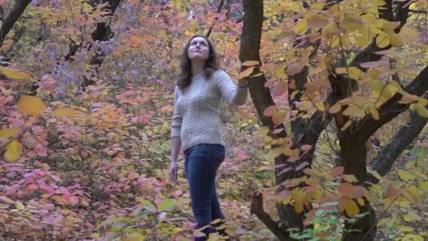 Slow Motion Vrouw Wandelen Herfst Park — Stockvideo