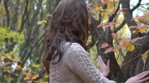 Женщина Выбросила Кучу Листьев Парке Фоне Деревьев — стоковое видео