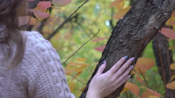 Closeup Hand Touching Tree Trunk Forest — 비디오
