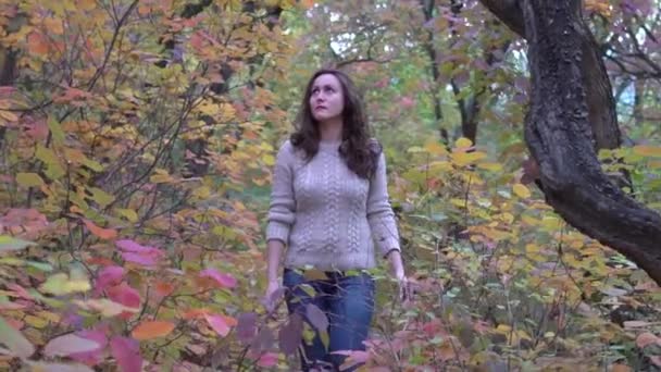 Красивая Женщина Идет Через Осенний Лес — стоковое видео