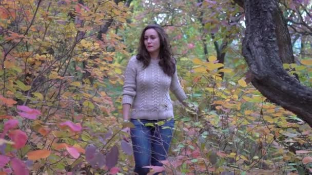 Slow Motion Красивая Женщина Осеннем Парке Внешний Портрет — стоковое видео