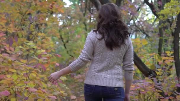 Женщина Стоит Рядом Деревом Время Прогулки Лесу Осенью — стоковое видео