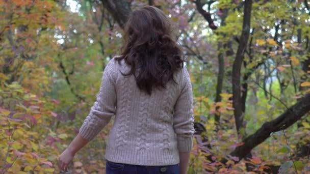 Повільний Рух Красива Молода Жінка Позує Осінньому Парку — стокове відео