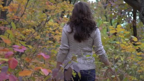 慢动作走过秋天的公园 黄叶公园 — 图库视频影像