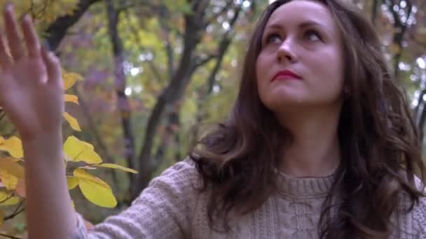 Gorgeous Young Woman Looks Yellow Autumn Leaves — Vídeo de stock