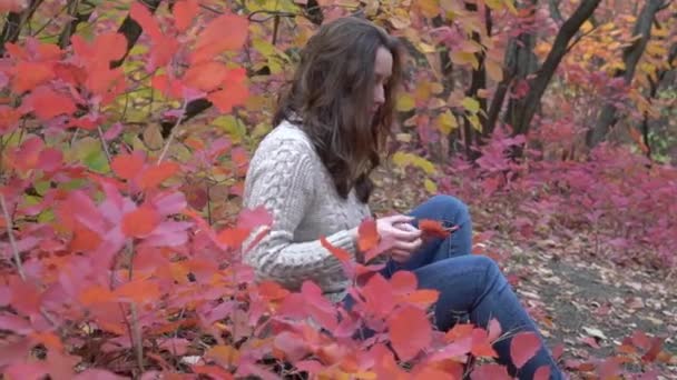 Woman Autumn Yellow Leaves Outdoors City Park Autumn — Vídeos de Stock