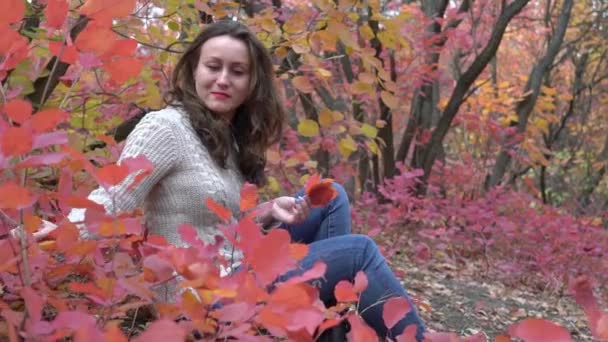 Портрет Красивой Молодой Женщины Осеннем Лесу — стоковое видео