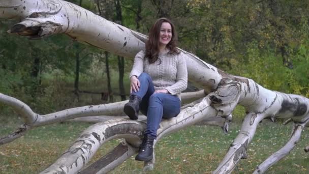 Belle Brune Assise Sur Arbre Dans Parc Automne — Video