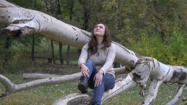 Молодая Женщина Сидит Осеннем Дереве Осеннем Парке — стоковое видео