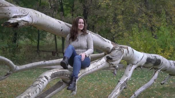 Beautiful Woman Sit Tree Park Autumn Leaves — Stockvideo