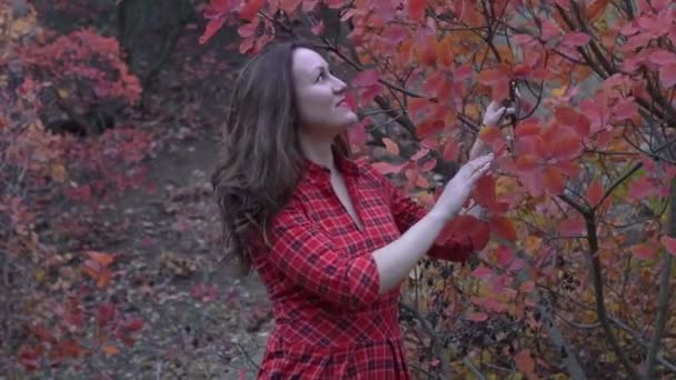 Happy Woman Autumn Yellow Leaves Autumn — Wideo stockowe