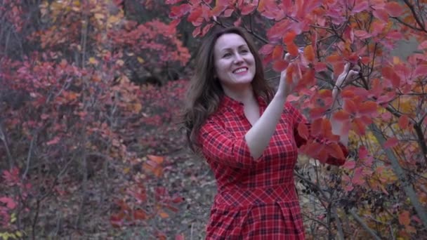Портрет Молодой Девушки Осеннем Парке — стоковое видео