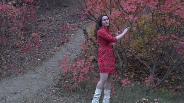 Happy Woman Autumn Yellow Leaves Autumn — Vídeo de Stock