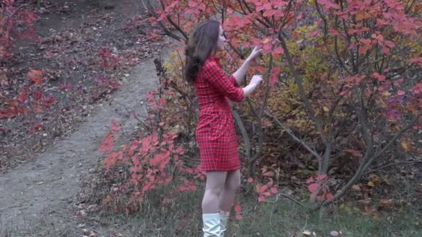Женщина Медленным Движением Стоит Желтом Осеннем Парке — стоковое видео
