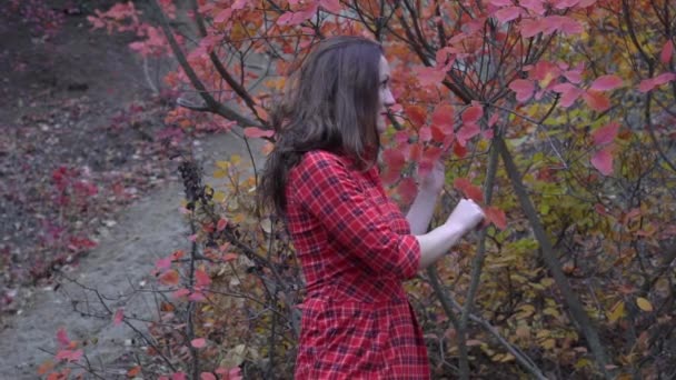 Slow Motion Woman Autumn Yellow Leaves City Park Autumn — 图库视频影像