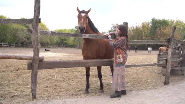 Slow Motion Meisje Voedt Een Paard — Stockvideo