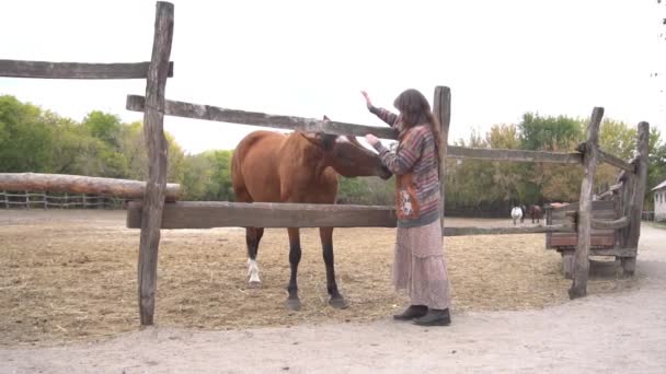 Slow Motion Hündin Mit Pferd Tagsüber Auf Dem Hof — Stockvideo