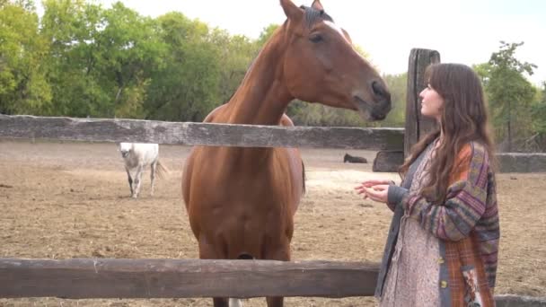 Zeitlupe Frau Und Pferd — Stockvideo