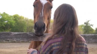 Slow Motion Güzel kadın ve at