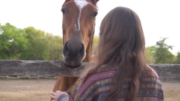 Zeitlupe Schöne Frau Und Pferd — Stockvideo