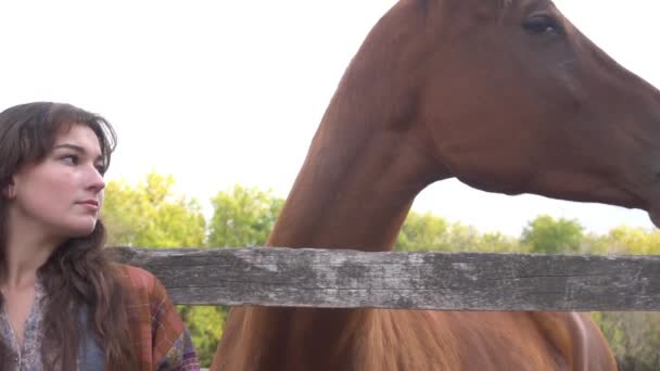 Медленное Движение Милая Женщина Держит Лошадь Природе — стоковое видео