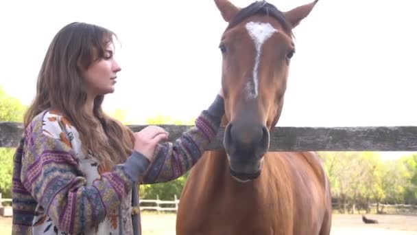 Retrato Amoroso Uma Menina Seu Cavalo Livre Dia Ensolarado Brilhante — Vídeo de Stock