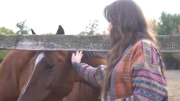 Mujer Joven Campesina Peinando Caballo Rancho — Vídeos de Stock
