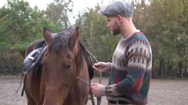 Man Petting Chestnut Horse Muzzle — ストック動画