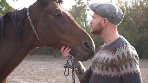 这个英俊的男人正看着马的眼睛 — 图库视频影像