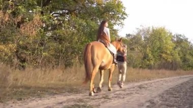 Genç bir çift ata binme sırasında çayırda yürüyor..