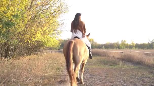 Slow Motion Equestrian Woman Horse Riding Outdoors — Stockvideo