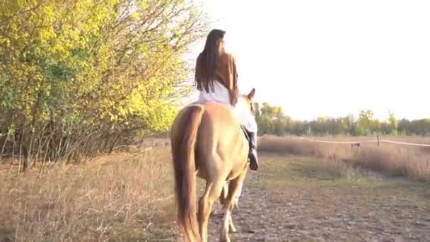Beautiful Young Woman Riding Horse — Wideo stockowe