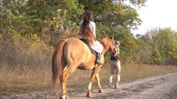 Slow Motion Cute Couple Horses — Vídeo de Stock