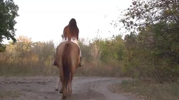 Caballo Jinete Una Competición Corte Ecuestre Estilo Occidental — Vídeo de stock