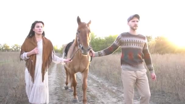 Pár Lásce Den Přírodě Krásných Koní — Stock video