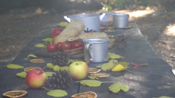 Slow Motion Table Chairs Bonfire Autumn Forest — Stock video