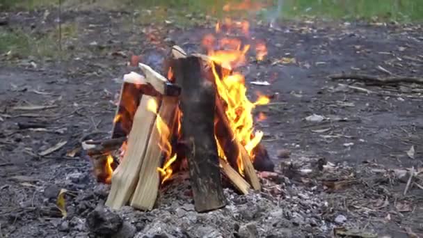 Campfire Closeup Detail Fireplace Flame — Stock Video